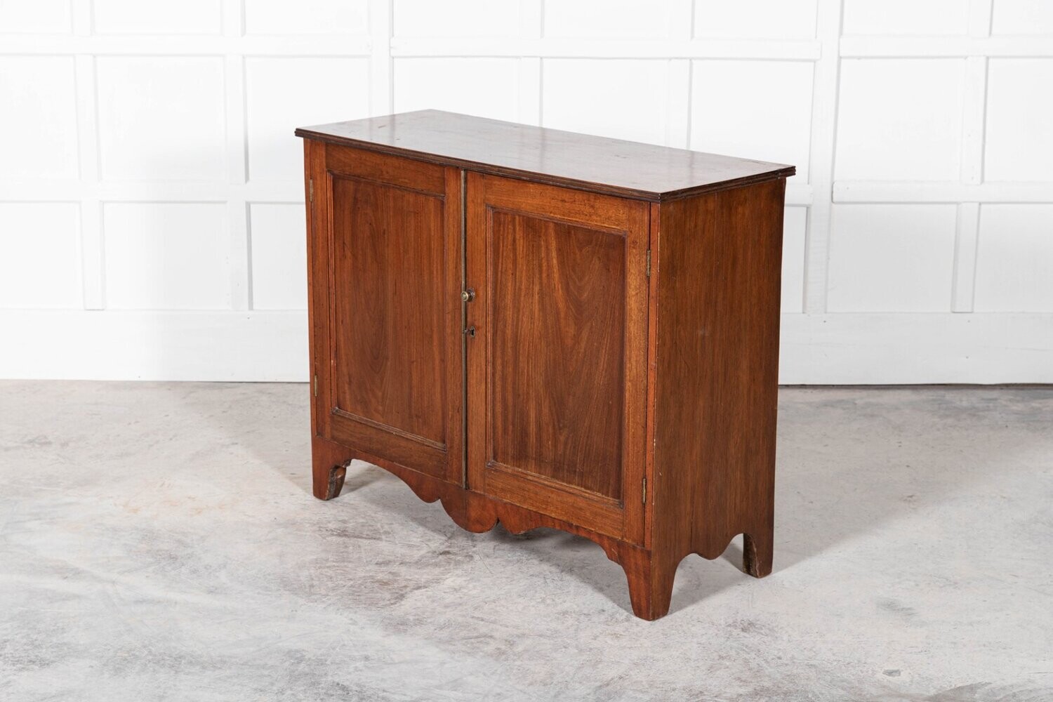 English Regency Mahogany Library Cabinet