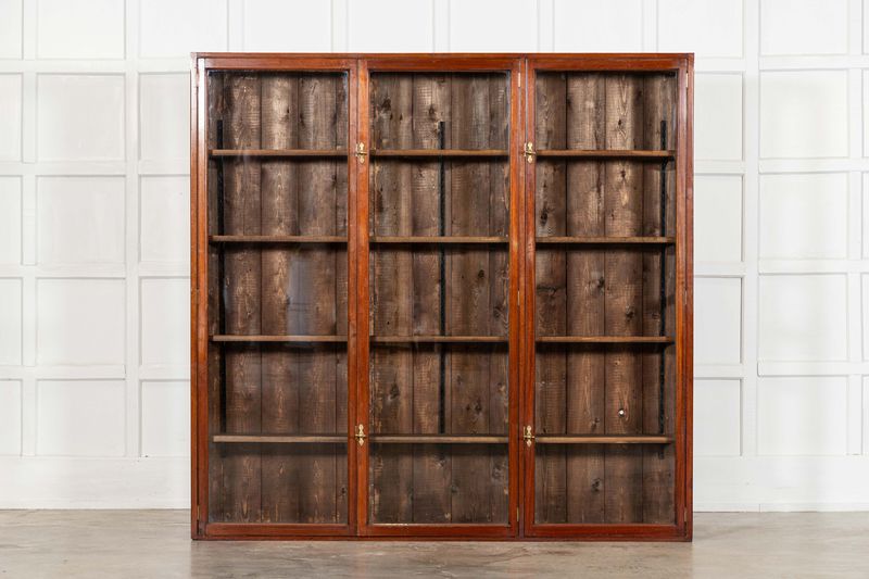 Large 19thC English Mahogany Glazed Display Cabinet