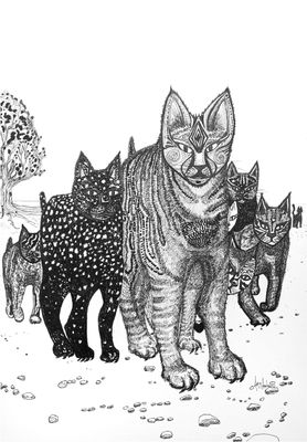 Animals