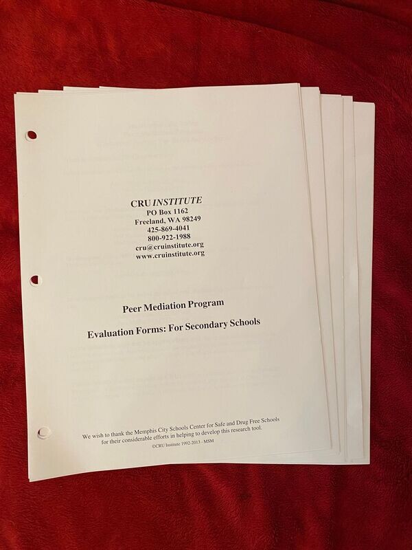 Secondary School: Program Evaluation Form