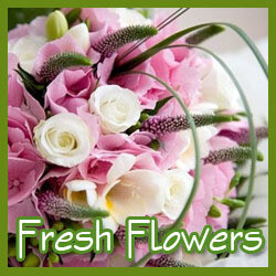 Fresh Flowers