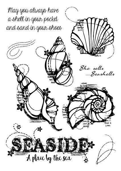 Woodware Stamp - SEASHELLS