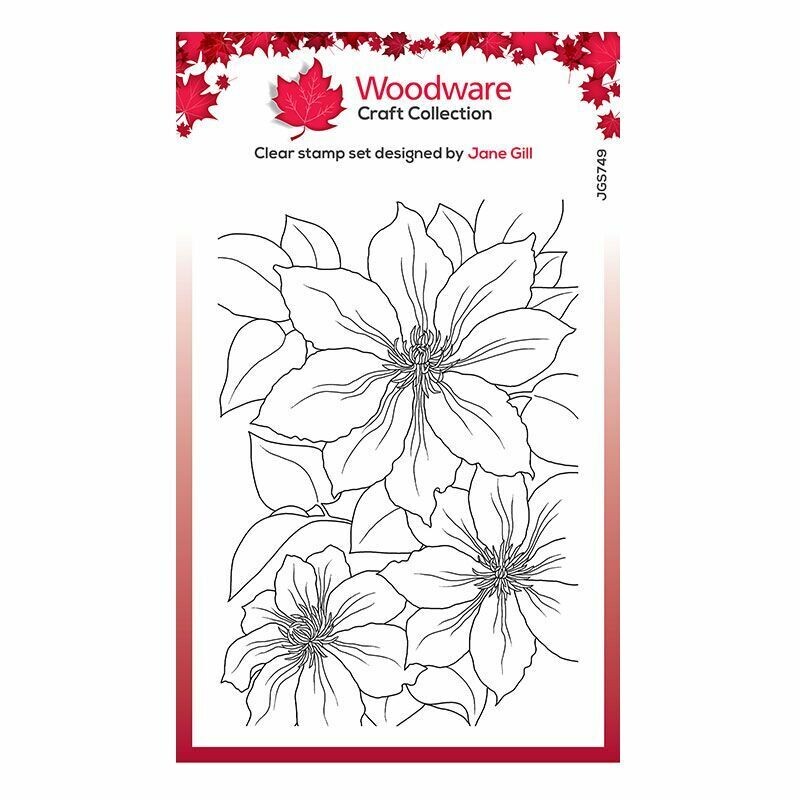 Woodware Stamp - Jane Gill - CLEMATIS