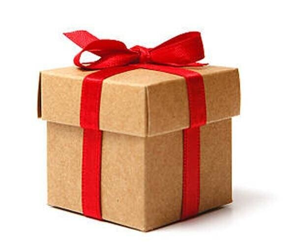 Christmas Craft Kit in a Box - Shipping Included