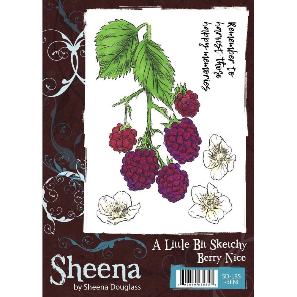 Sheena Douglass Little Bit Sketchy A6 Stamp Set - BERRY NICE