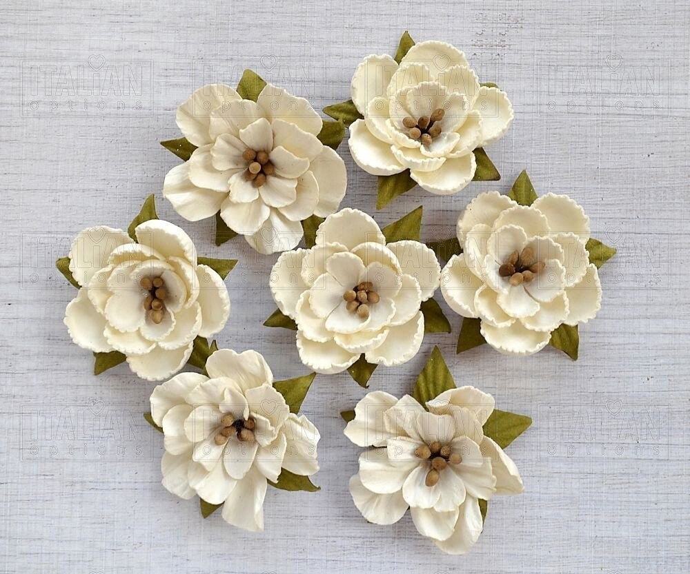 PAPER BLOSSOMS IVORY Flowers by Italian Options (x 7 flowers)