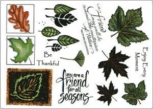 Creative Expressions Unmount A5 SEASONAL FLORA  ** OVER 50% OFF**