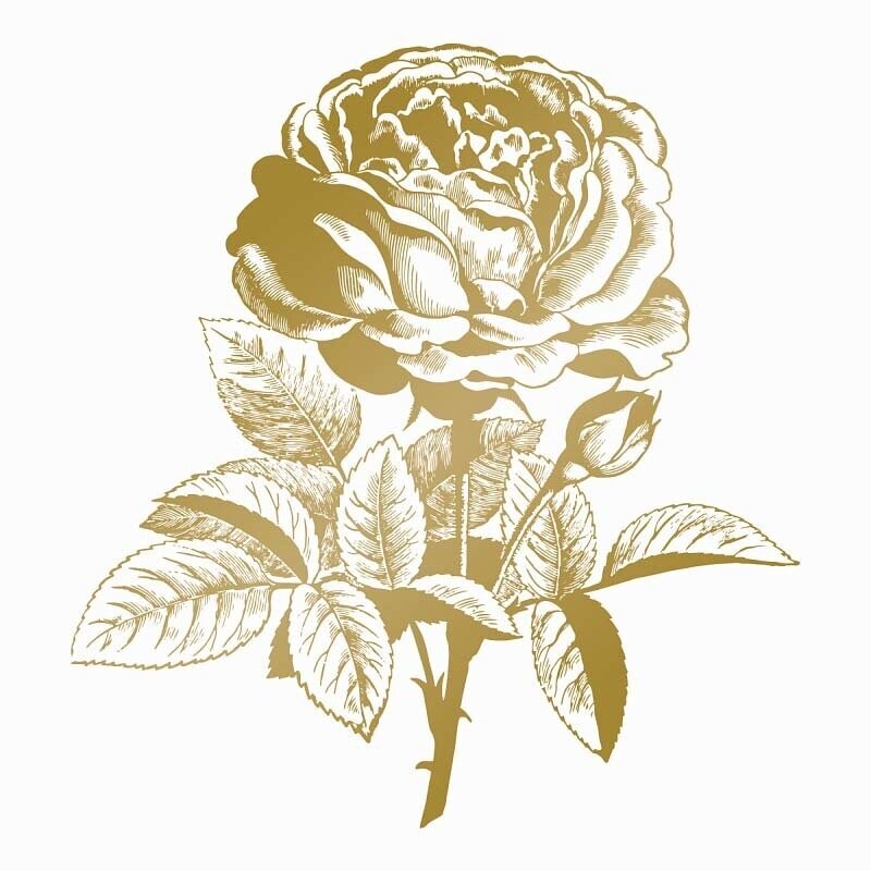 Couture Creations Foil Stamp Die - CLASSIC ROSE