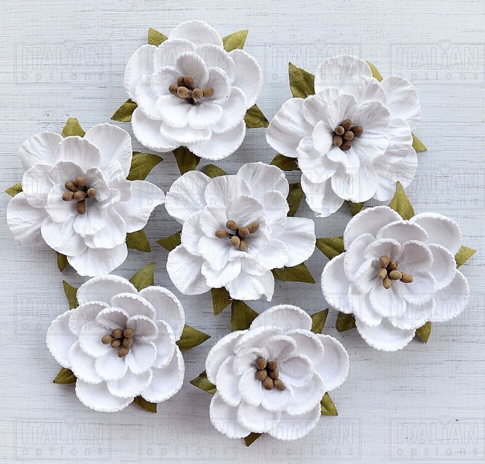 PAPER BLOSSOMS WHITE Flowers by Italian Options (x 7 flowers)