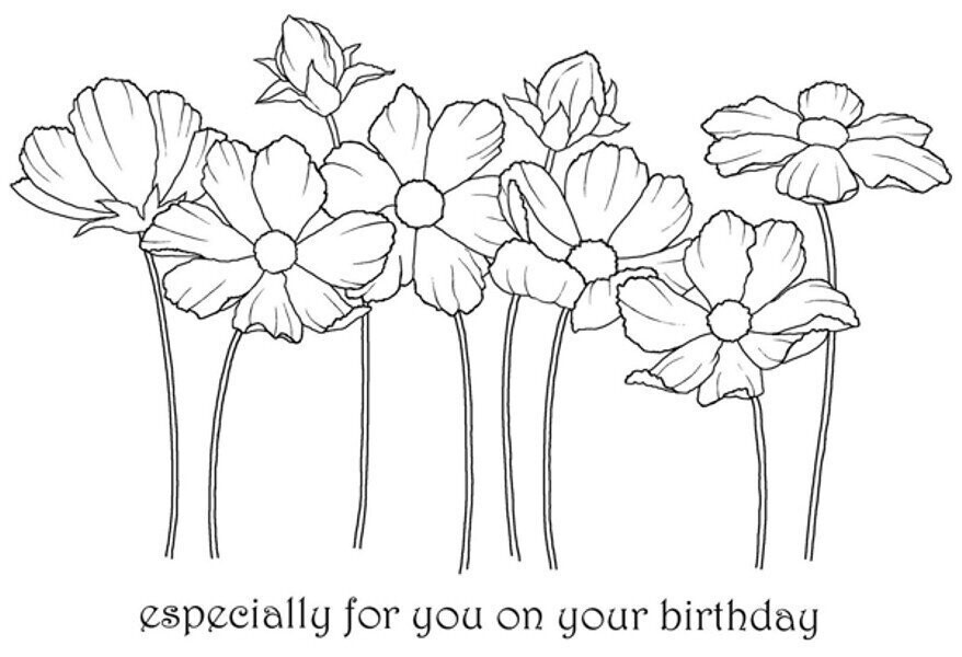 Woodware Clear Magic Stamp set - COSMOS FLOWERS
