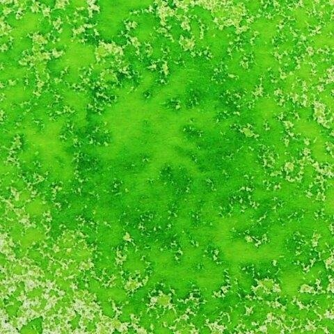 Phil Martin &amp; Cosmic Shimmer - CARNIVAL RANGE - Ink Spray Mist - LIME BURST