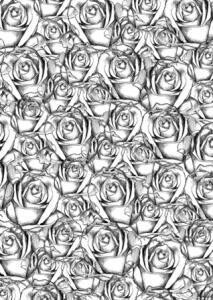 Sentimentally Yours - A6 Rubber Stamp RESPLENDENT ROSES by Phil Martin