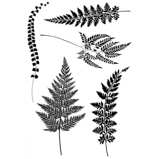 Woodware Clear Magic Singles - FERNS