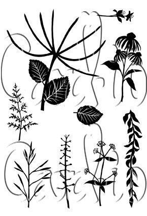 Card-io Clear Stamp set - BOTANICALS