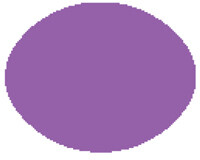 Woodware Punch - SUPER DUPER ECLIPSE 3&quot;/75mm  **MORE THAN HALF PRICE**