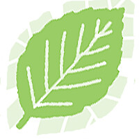 Woodware Punch - LEAFMAKER - BEECH LEAF