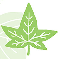 Woodware Punch - LEAFMAKER - IVY LEAF