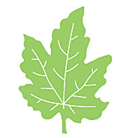 Woodware Punch - LEAFMAKER - MAPLE LEAF THIN (1)