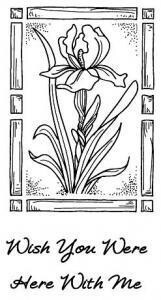 Stamps by Sue Wilson - Regal Iris  **LESS than Half Price**