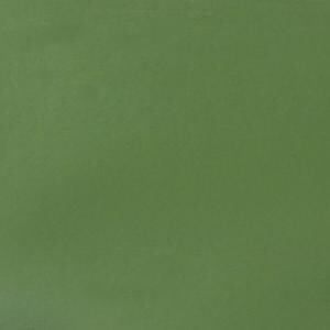Cosmic Shimmer Matt Chalk Paints - Ivy