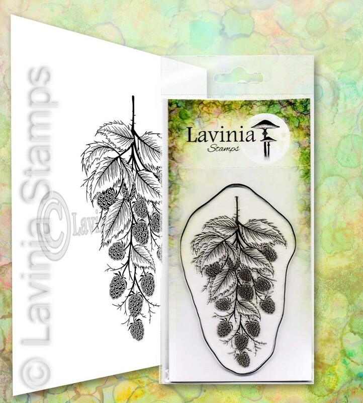 Lavinia Stamps BLACKBERRY