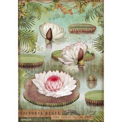 Stamperia A4 Rice Paper Amazonia WATER LILY
