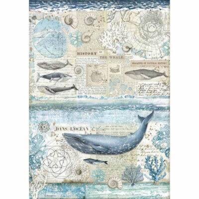 Stamperia Rice Paper HISTORY OF THE WHALE