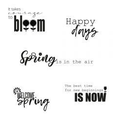 Sizzix Stamps 665828 SPRING SENTIMENTS