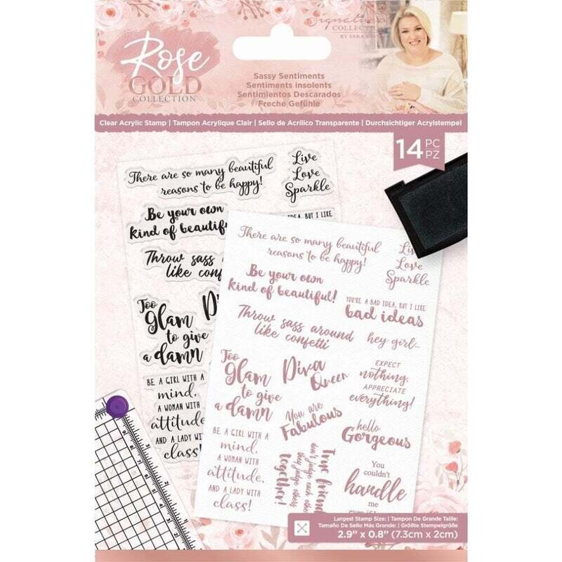 Sara Signature Rose Gold Stamp Set SASSY SENTIMENTS