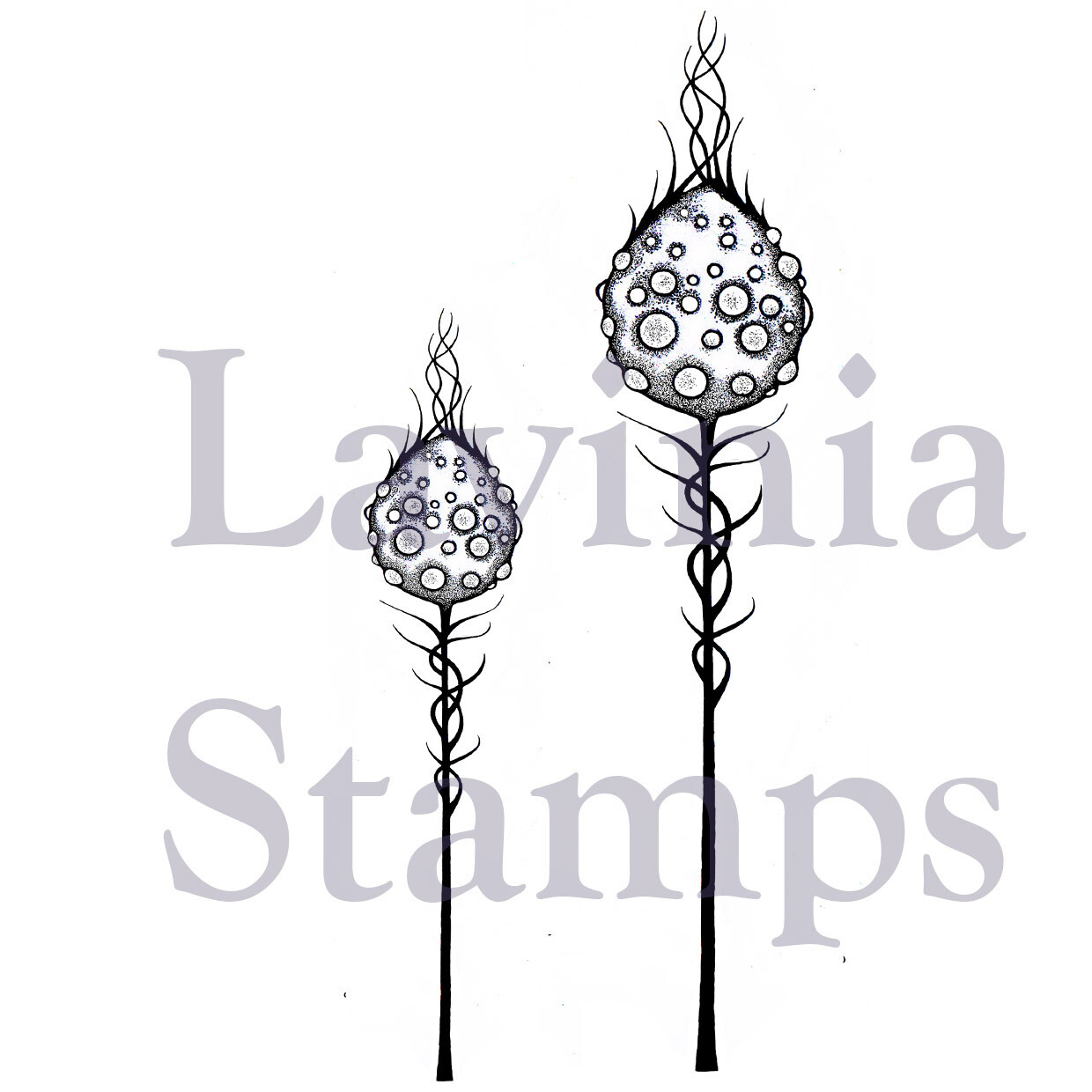 Lavinia Acrylic Stamp LAV384-moon-pods