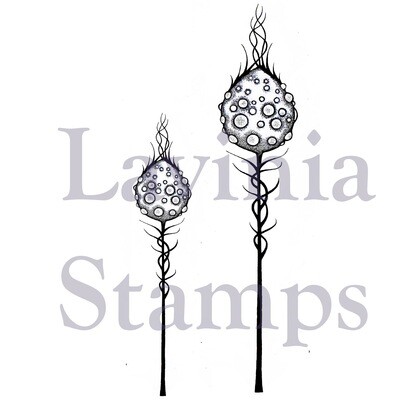 Lavinia Acrylic Stamp LAV384-moon-pods