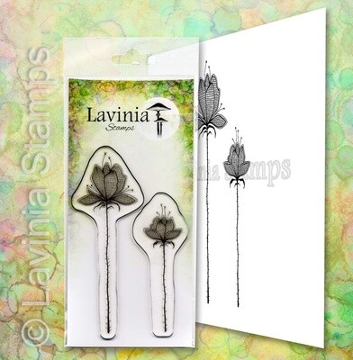 Lavinia Acrylic Stamp LAV654-Lillium-Set