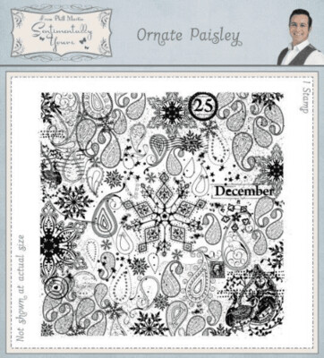 Phil Martin Rubber Stamp ORNATE PAISLEY