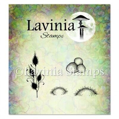 Lavinia Stamps ECHO &amp; DREW