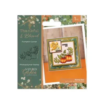 Crafter&#39;s Companion Thankful &amp; Blessed Stamp Set PUMPKIN CORNER