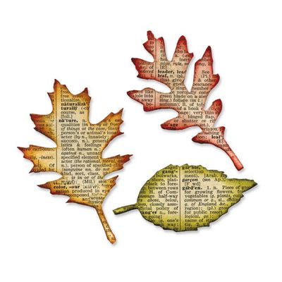 Sizzix Bigz Die TATTERED LEAVES 656927