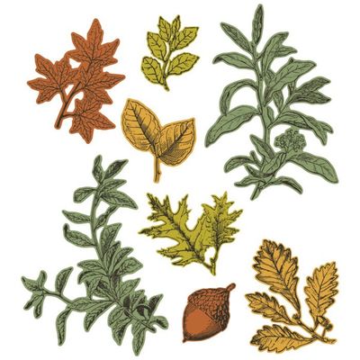 Sizzix Framelits Stamps &amp; Dies FOREVER LEAVES 666706