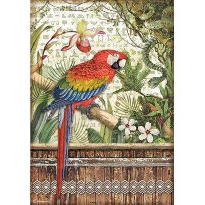 Stamperia A4 Rice Paper Amazonia PARROT