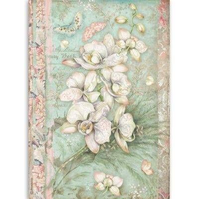 Stamperia A4 Rice Paper WHITE ORCHID