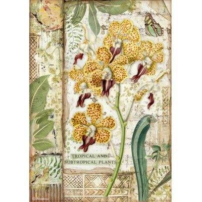Stamperia A4 Rice Paper Amazonia ORCHID
