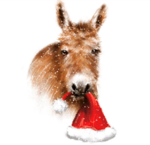 Christmas cards: Yuletide Mule