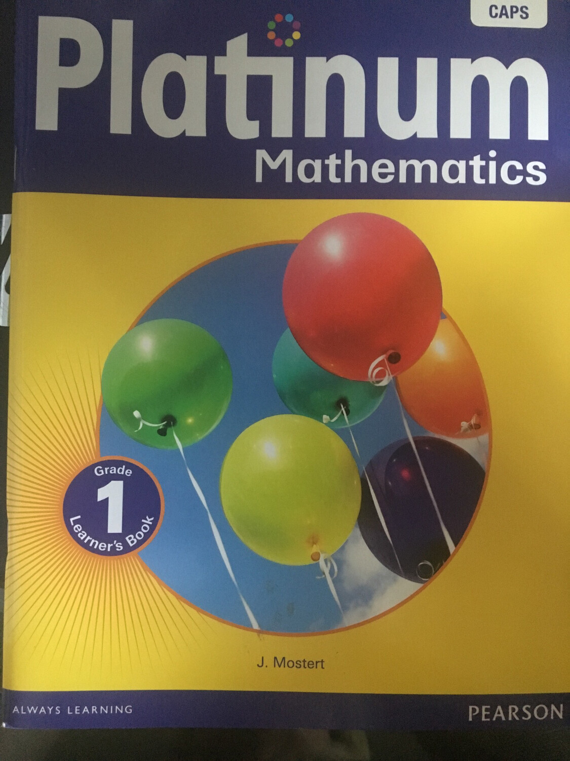 Grade 1 Platinum Mathematics Learner’s Book