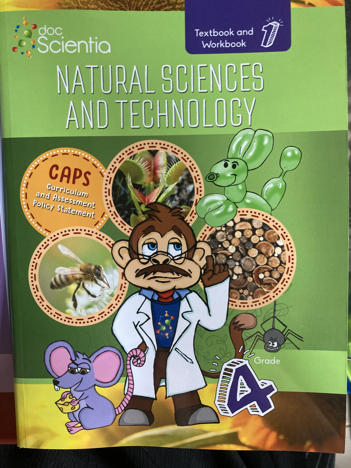 Grade 4 DocScientia Natural Science and Technology - BOOK 1 Term 1 &amp; 2 Black and White