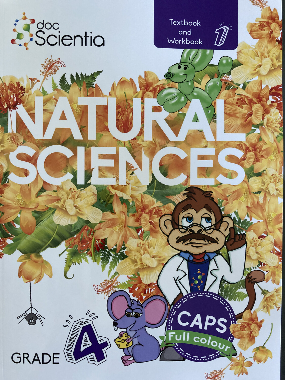 Grade 4 DocScientia Textbook and Workbook Book 1 Natural Sciences COLOUR