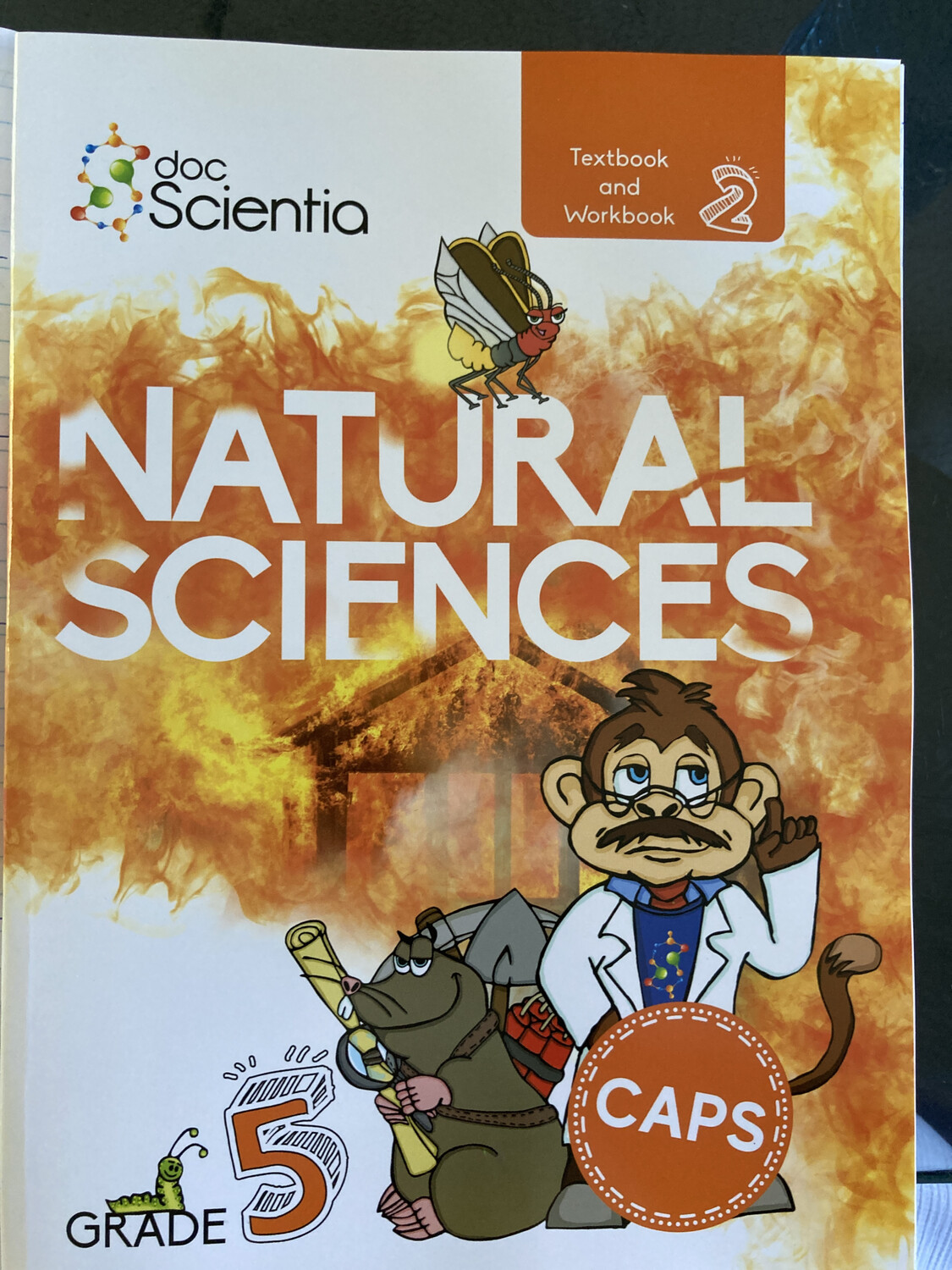 Grade 5 DocScientia Natural Sciences BOOK 2 Textbook and Workbook - Black and White