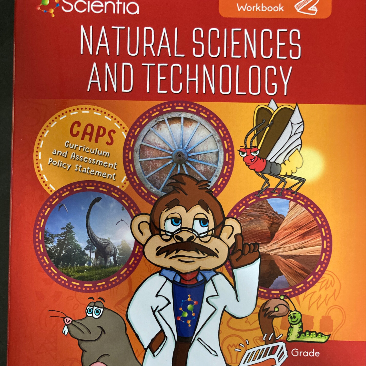 Grade 5 DocScientia Natural Sciences and Technology Book 2