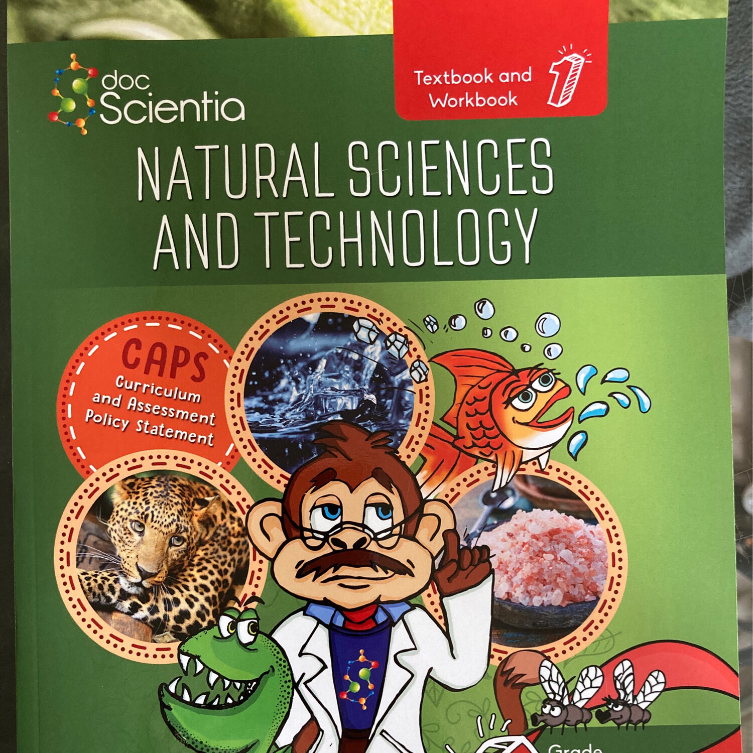 Grade 6 DocScientia Natural Sciences and Technology Book 1 Full Colour