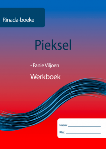 Pieksel Werkboek