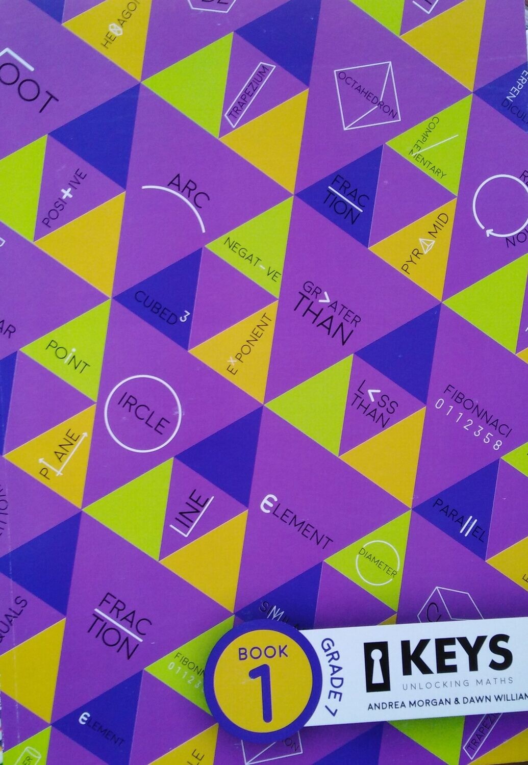 Grade 7 Keys-Unlocking Maths Book 1 and 2