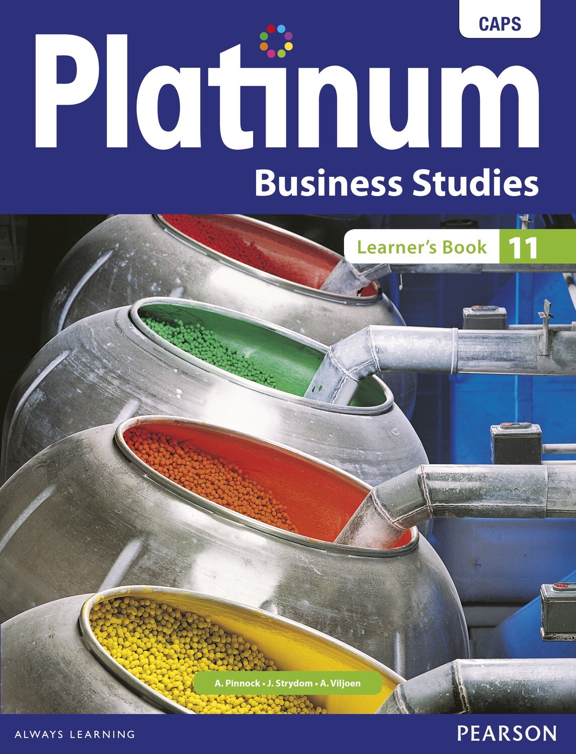 Platinum Business Studies Grade 11 Learner&#39;s Book